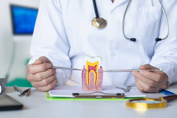 Best Emergency TMJ Treatment in Pelham Manor, NY